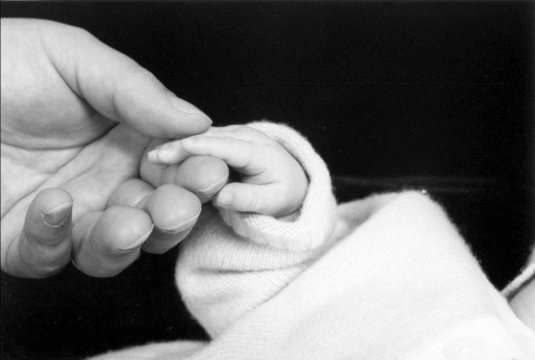 babyhands