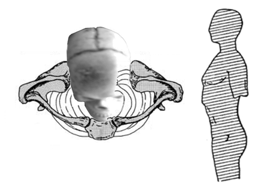 Fig.2