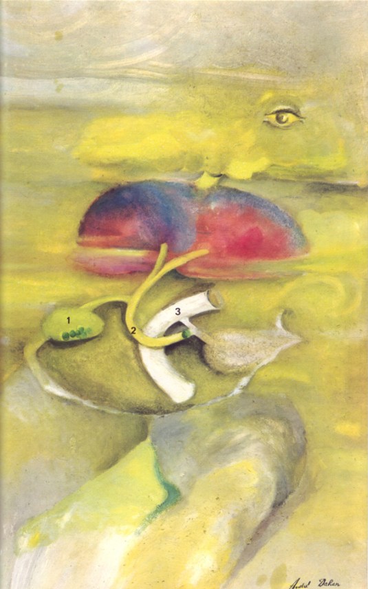 14-La-jaunisse--illus.-A.-Dahan-(Le-Livre-de-Sante--v.6--1967)