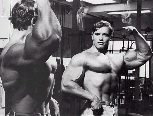 Body Builder ~ 05 ~ Arnold Schwarzenegger