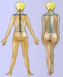 A.I. Kapandji (capa Phisiologie Articulare).