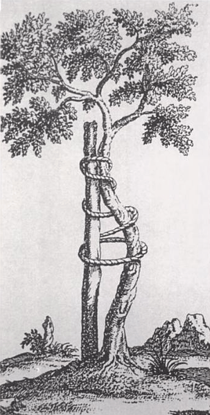 303px-Andry_tree