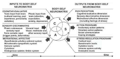 neuromatrix