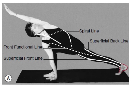 parivritti parsvakonasana