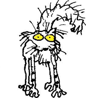 cat