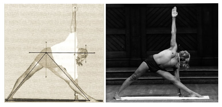 bks iyengar trukonasanalines