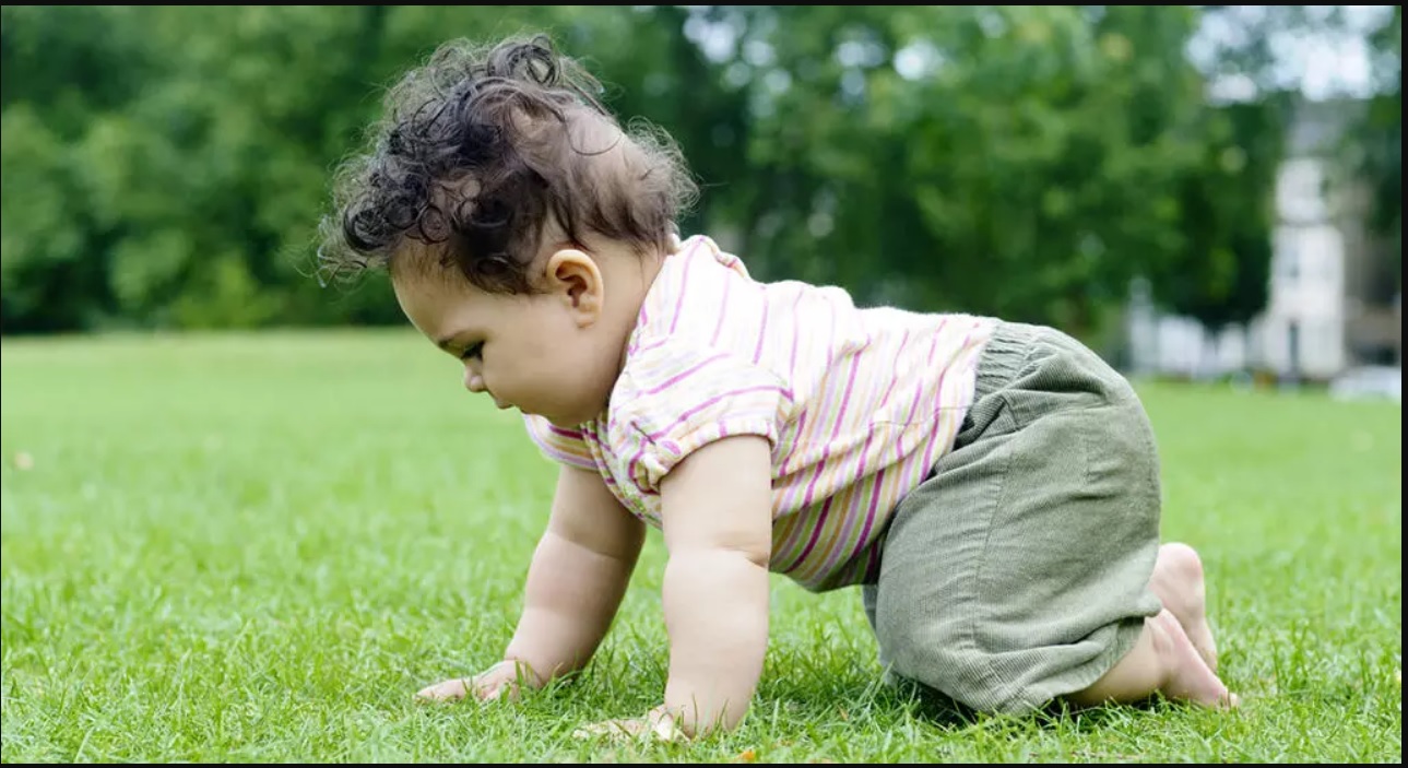 baby crawling