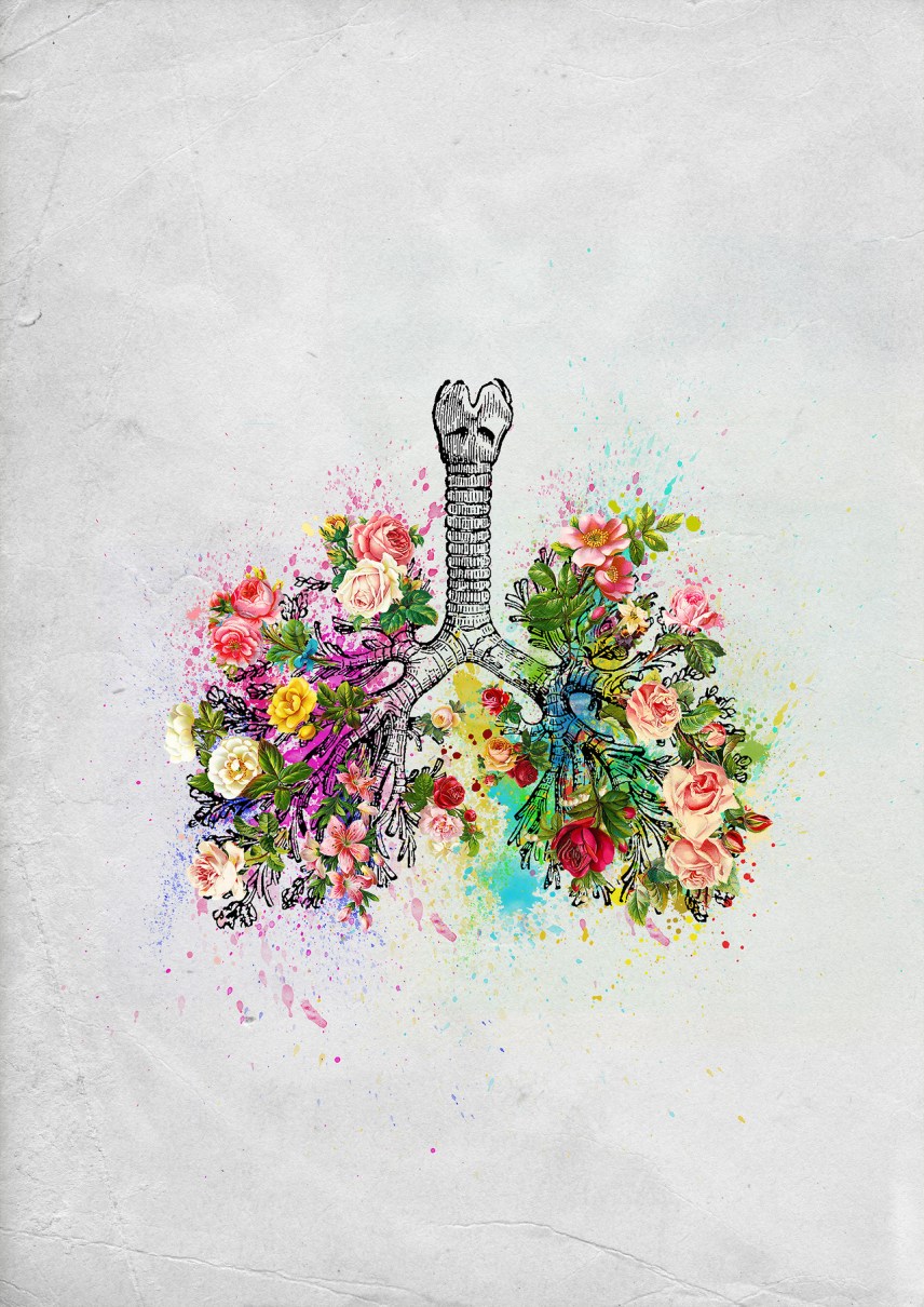 lungs.jpg